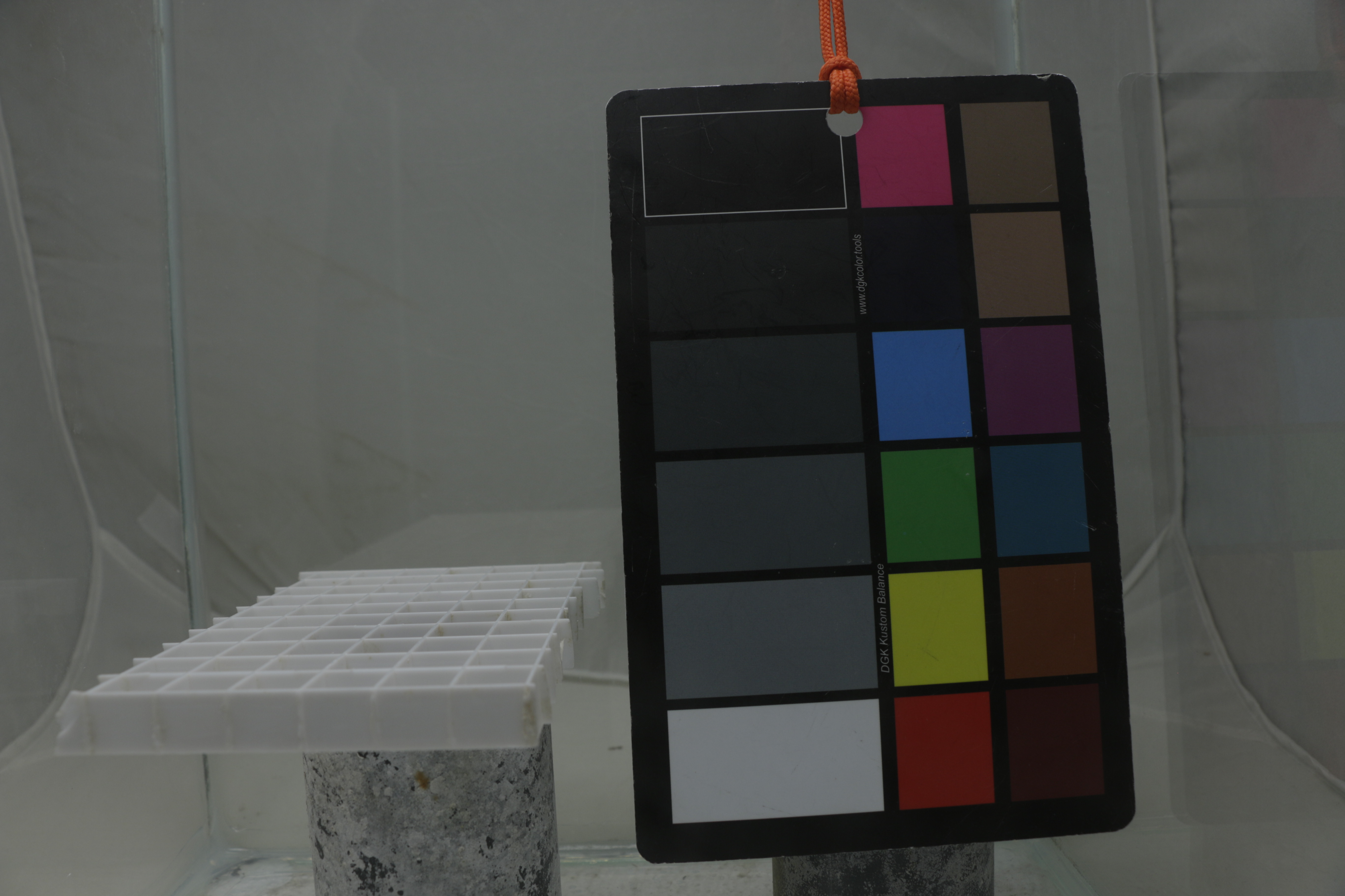 Figure 10: Test image with light box around tank. Reflection on the glass is still an issue.